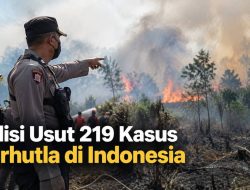 Polisi Usut 219 Kasus Karhutla di Indonesia