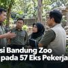 Transisi Bandung Zoo Fokus pada 57 Eks Pekerja